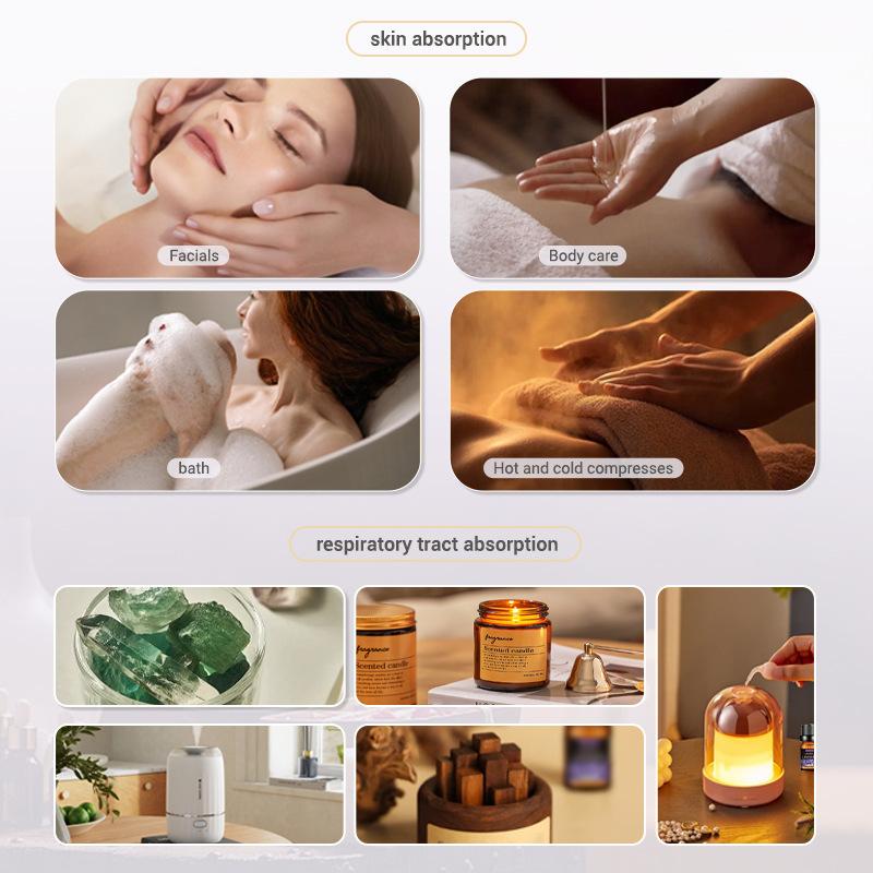 10ml Fragrance Oils Gift Box F - Soap Making Ingredients review and price