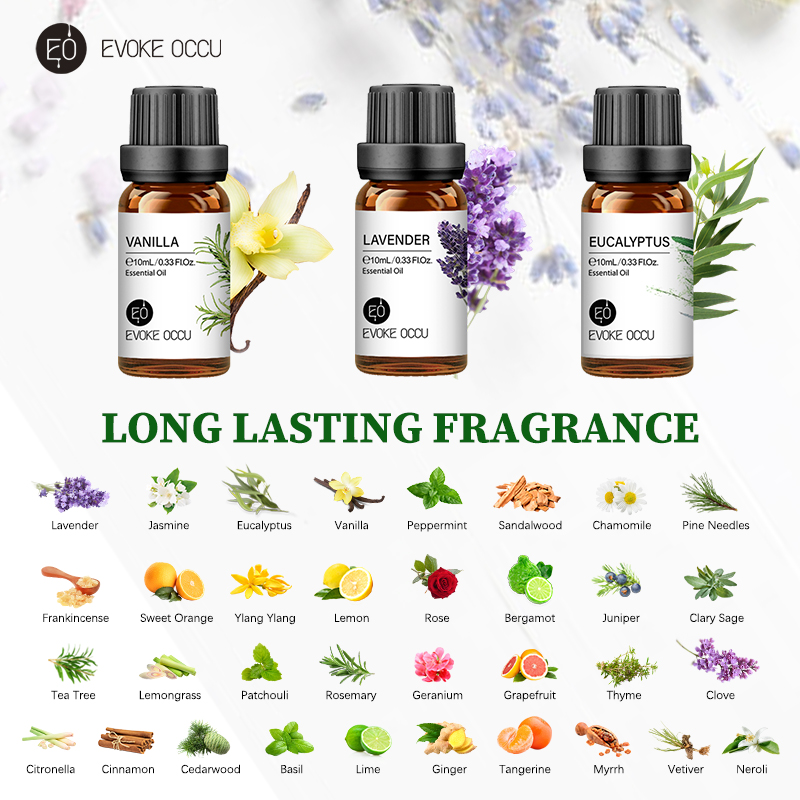 EVOKE OCCU 10mL Essential Oil, - Soap Making Ingredients review and price
