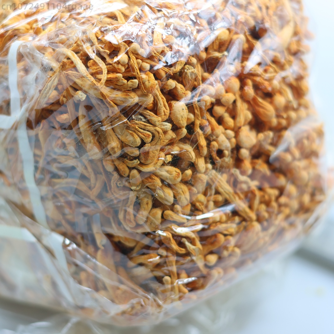 250g/500g Premium Natural Drie - Soap Making Raw Material review and price