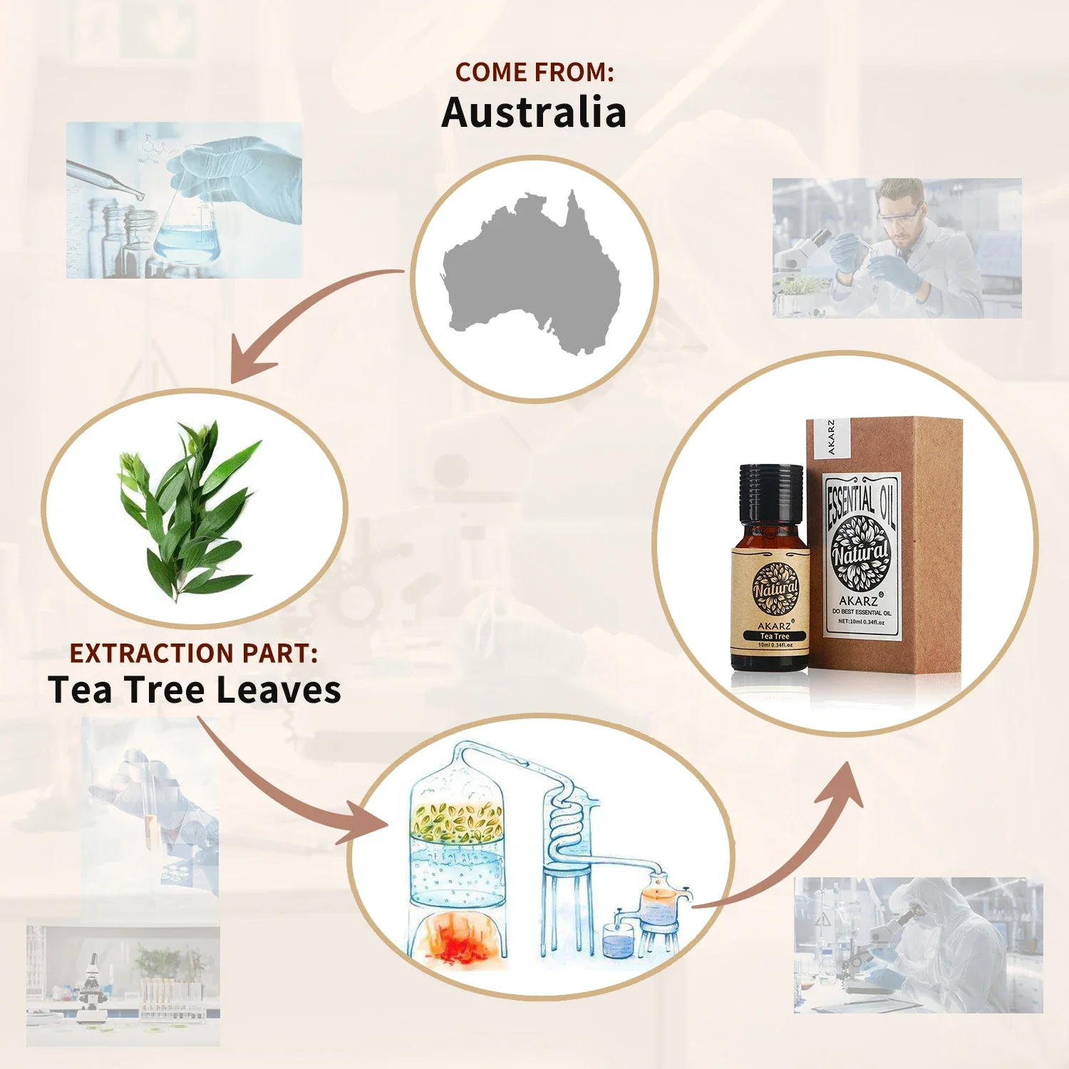 AKARZ Rosemary Essential Oil N - Soap Making Ingredients review and price